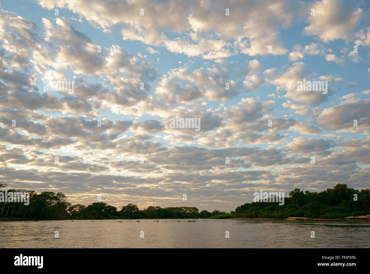 Riverscape Pantanal, Mato Grosso do Sul, Brazil Stock Photo