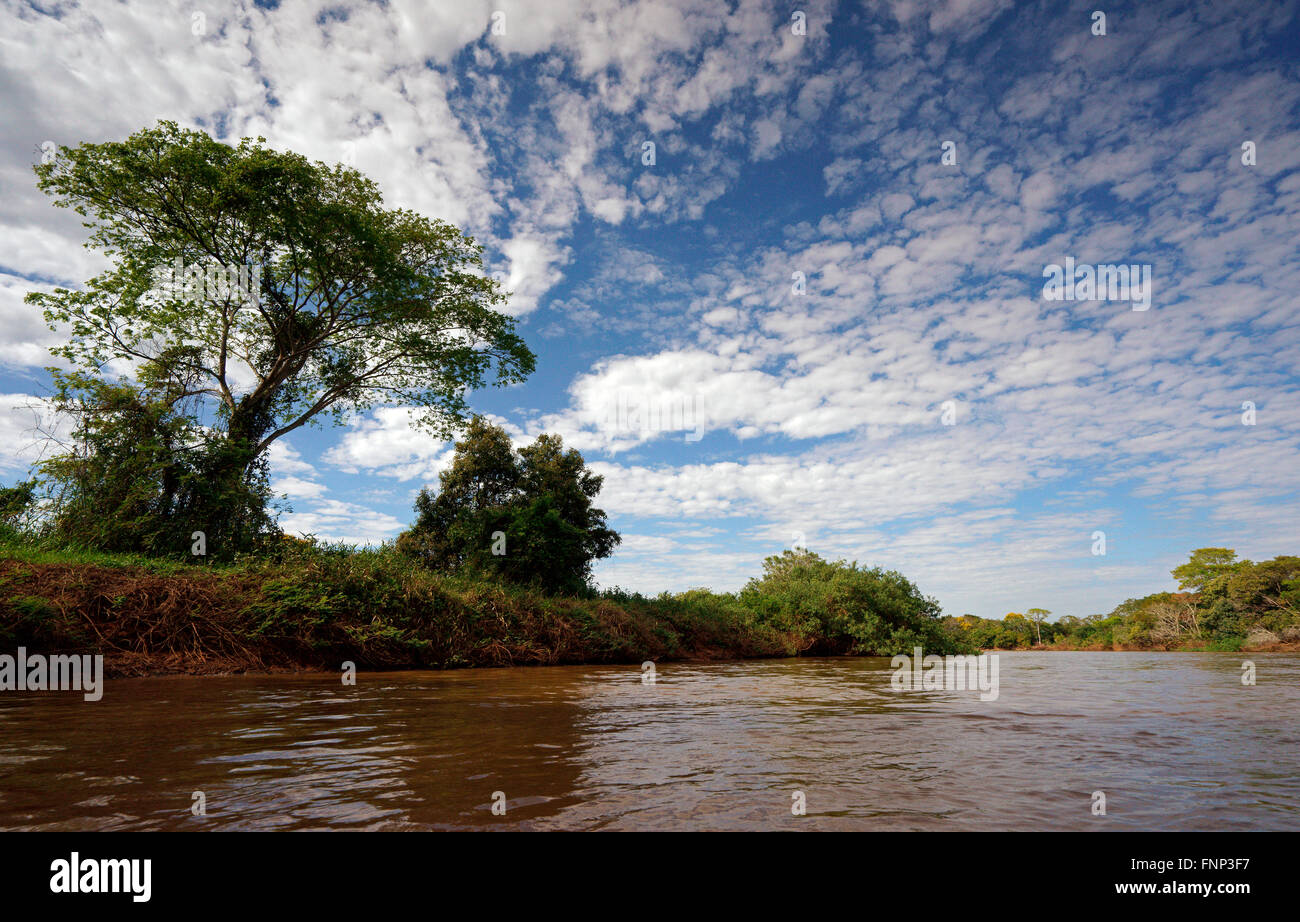 Riverscape Pantanal, Mato Grosso do Sul, Brazil Stock Photo