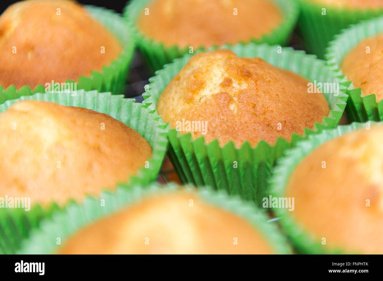 Tray of cup cakes cool on a cooling tray after just coming out of an oven in a home kitchen. Stock Photo