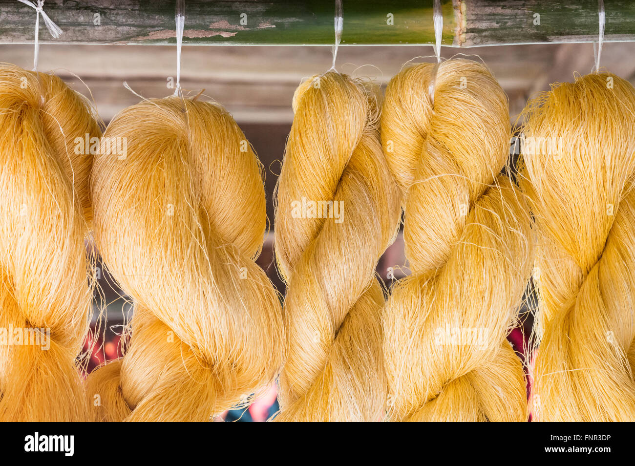 Photo of Silk Raw