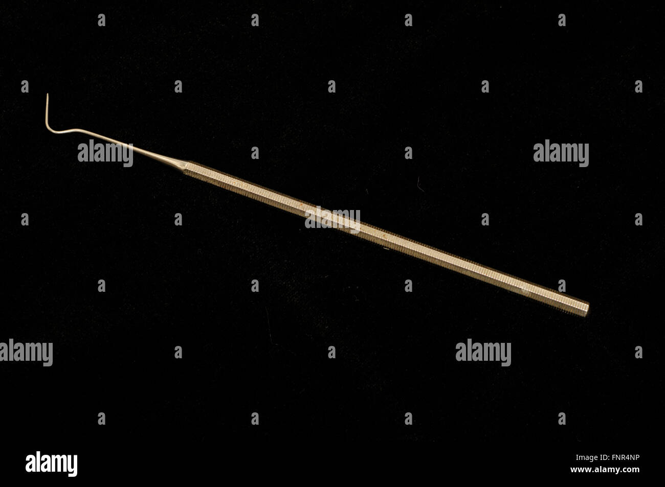 Single headed dental pick largely used to remove plaque Stock Photo Alamy