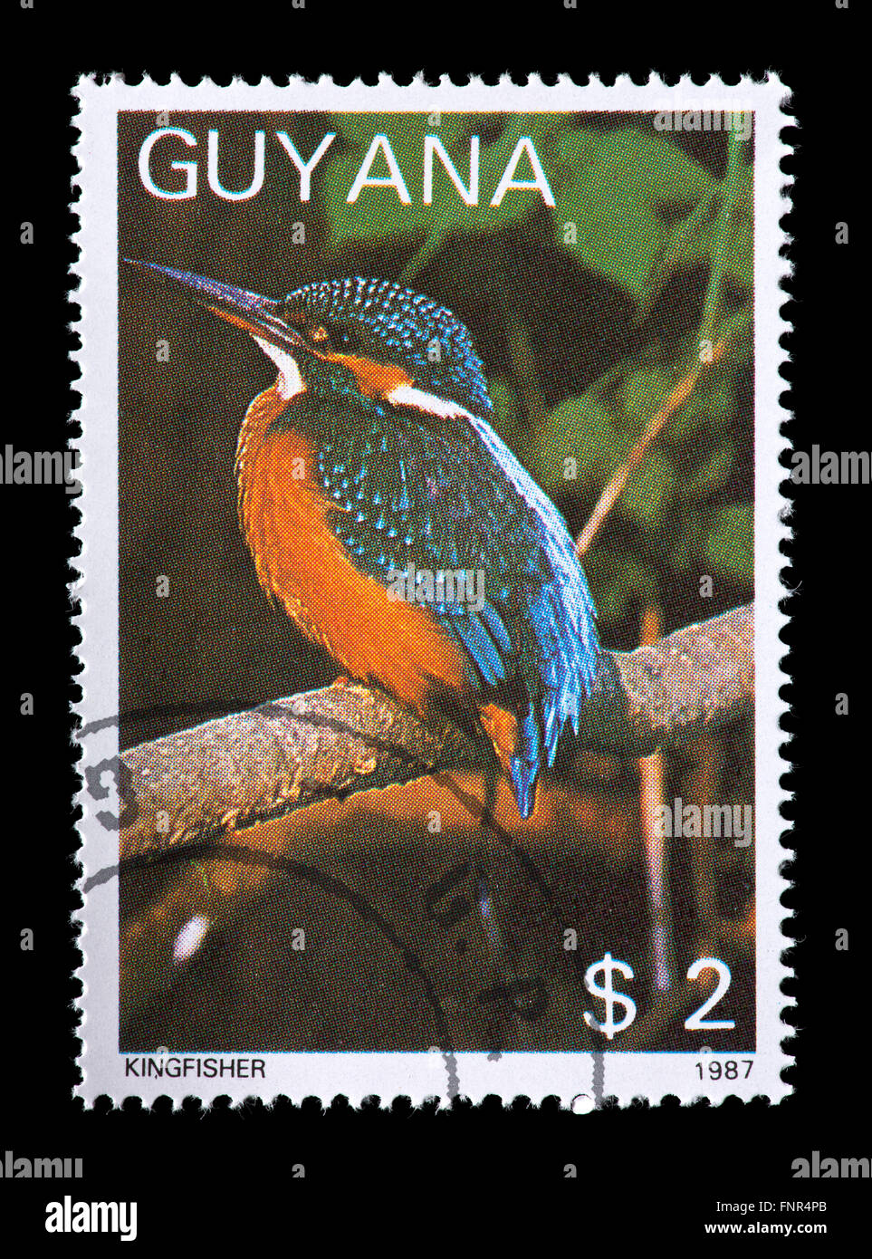 Postage stamp from Guyana depicting a kingfisher Stock Photo Alamy