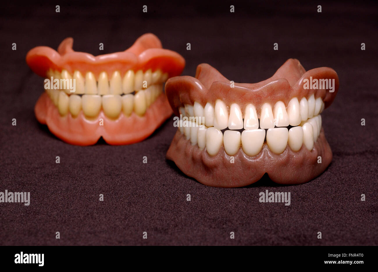 Two sets of full dentures. Dentures or false teeth are made from an acrylic base on which acrylic or ceramic. Stock Photo