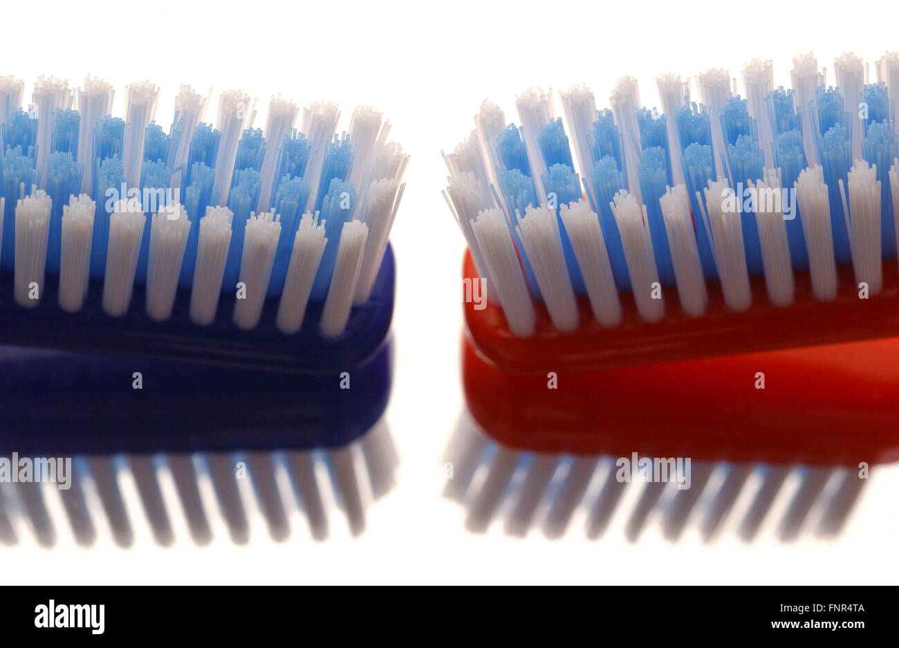 Close-up of two toothbrush heads. Stock Photo