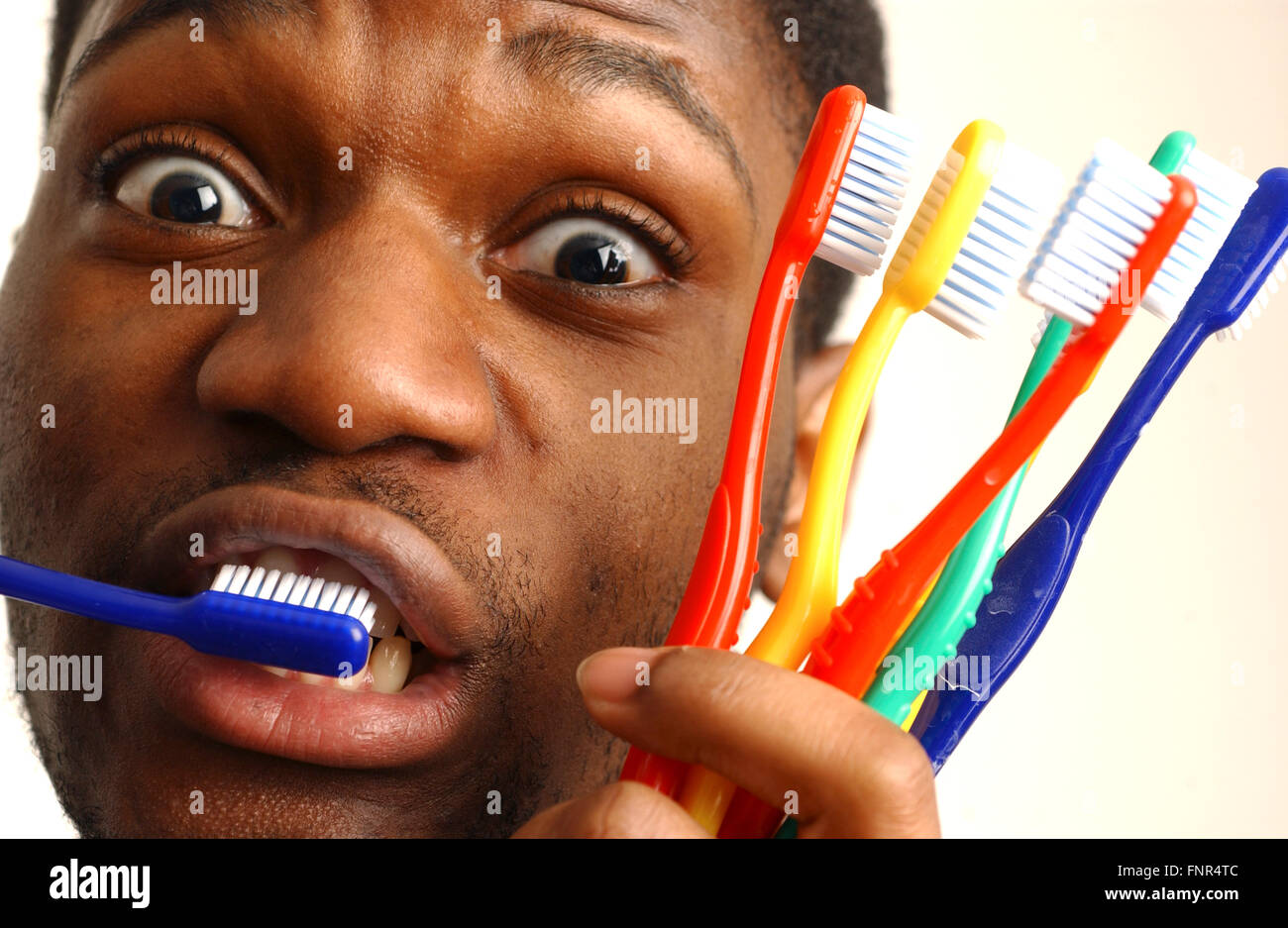 A young man brushes his teeth with one hand, whilst holding a number of toothbrushes in his other hand. Stock Photo