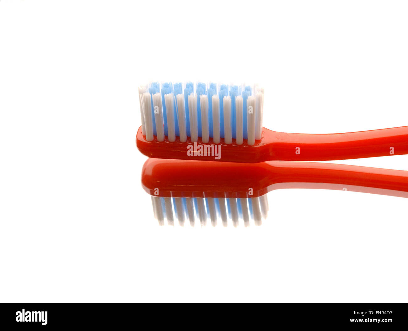 Close-up of a single toothbrush head. Stock Photo
