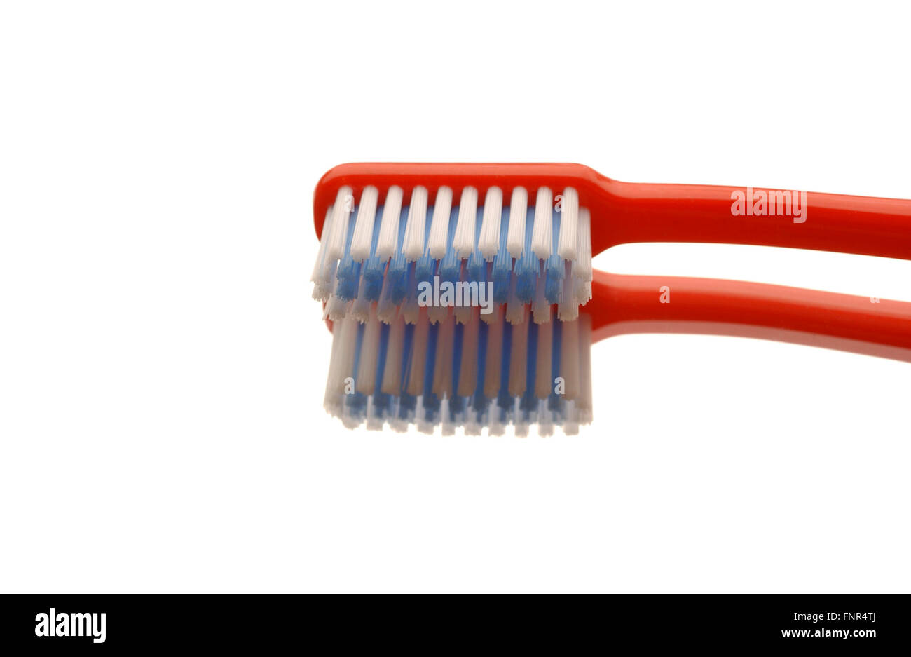 Close-up of a single red toothbrush head. Stock Photo