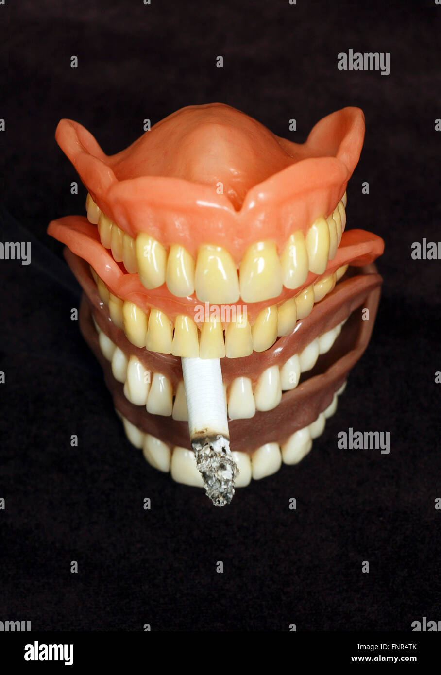 Four sets of dentures with a cigarette in between the teeth. Dentures or false teeth are made from an acrylic base. Stock Photo