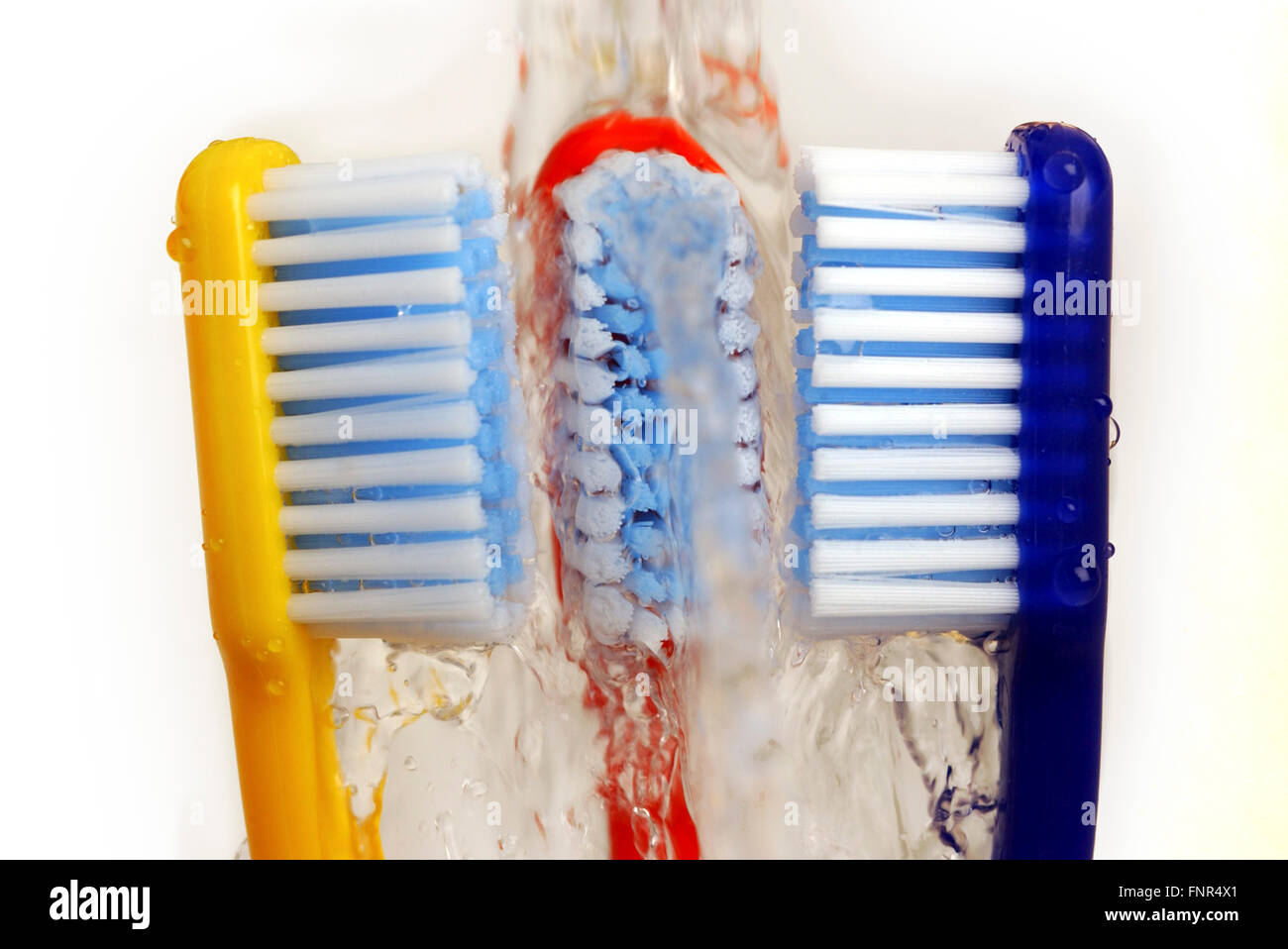 Water runs over three differently coloued toothbrushes. Stock Photo