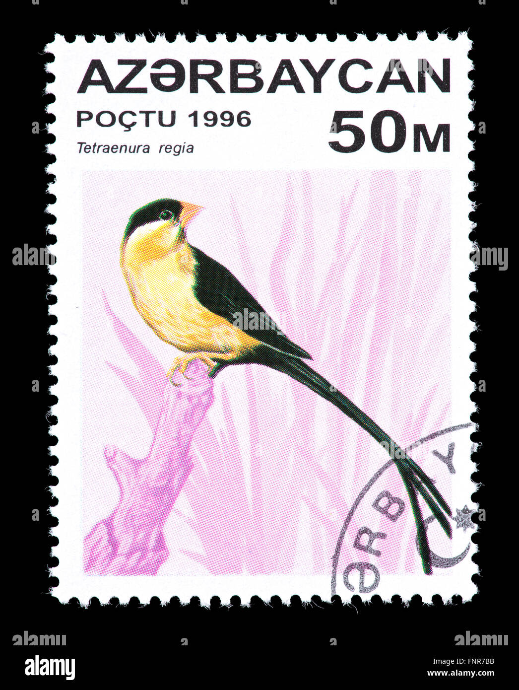 Postage stamp from Azerbaijan depicting a  shaft-tailed whydah or queen whydah (Vidua regia) (Tetraenura regia) Stock Photo