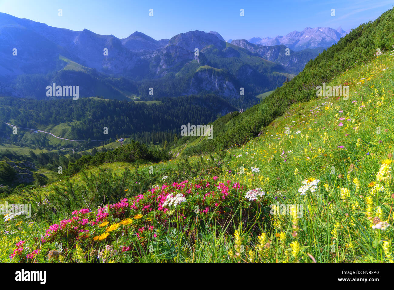 Beautiful view from top of cableway above the Konigsee lake on Schneibstein mountain ridge. Border of German and Austrian Alps, Stock Photo