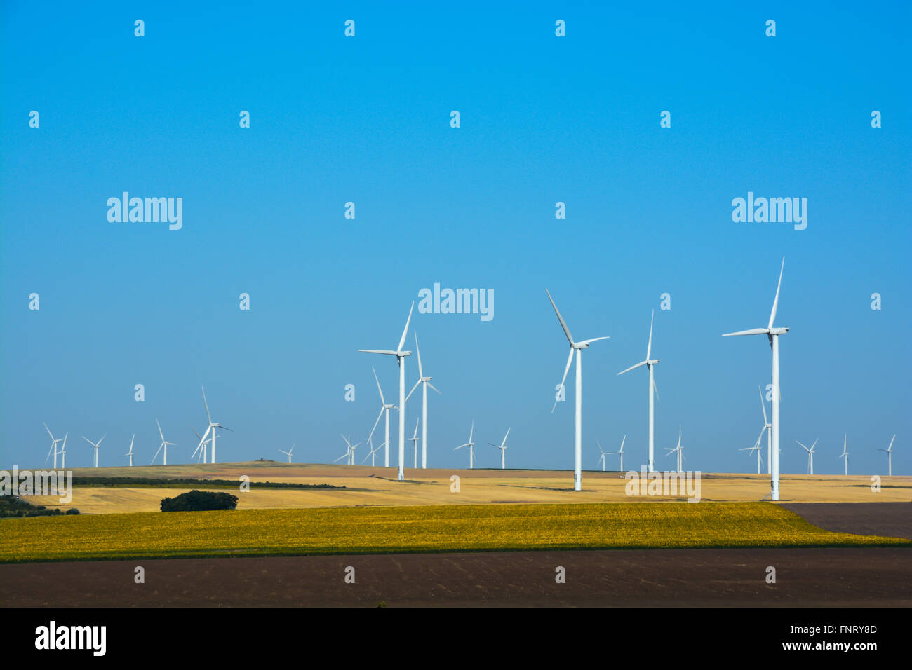 Wind turbines farm on a rural background Stock Photo - Alamy