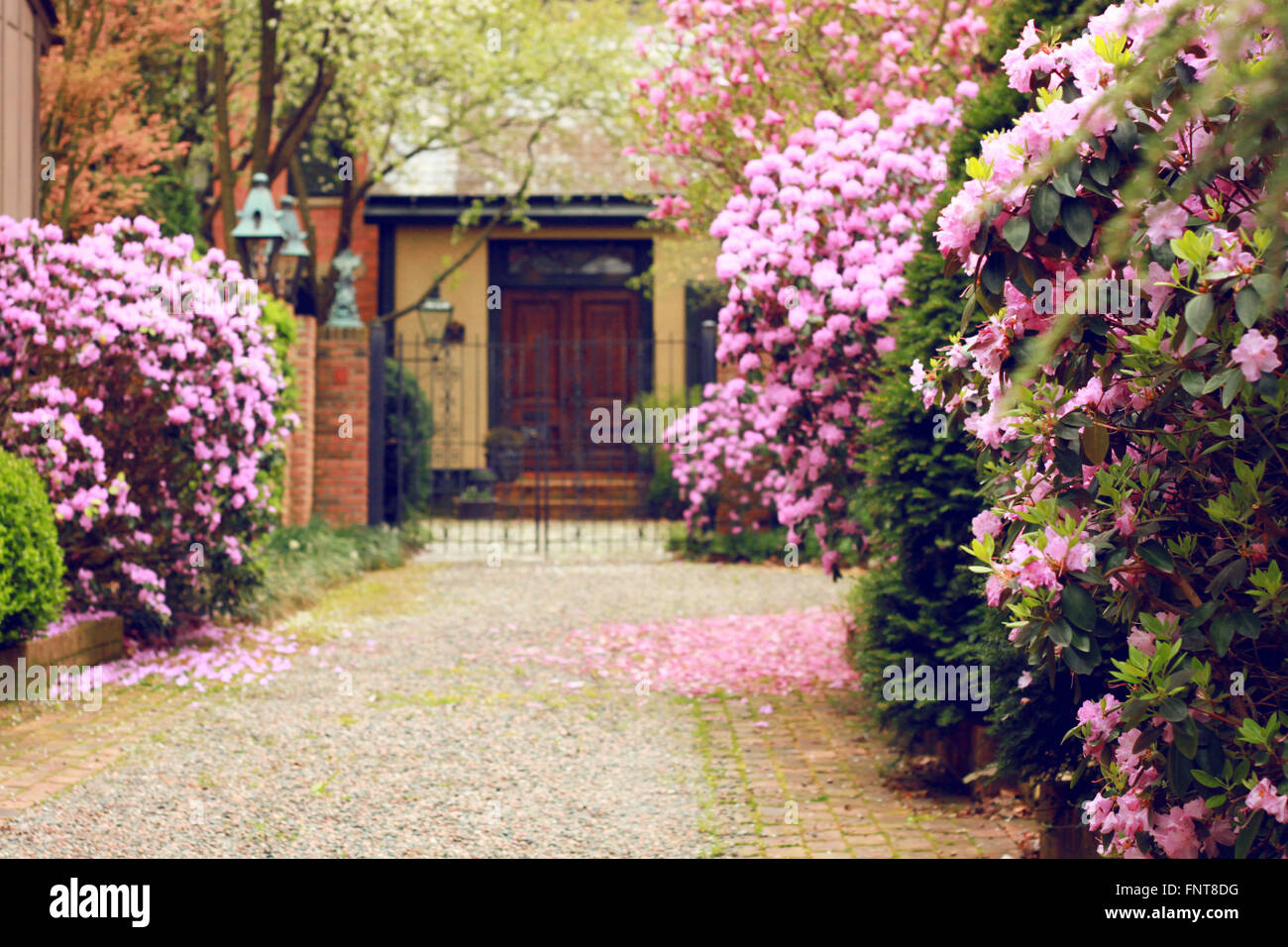 Falling flowers hi-res stock photography and images - Alamy