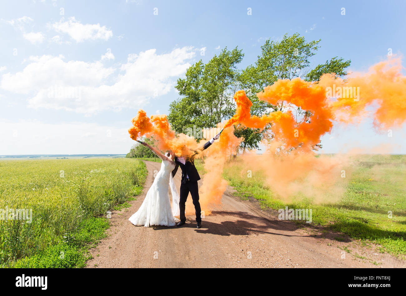 Wedding couple kissing with color smoke in the summer park Stock Photo ...