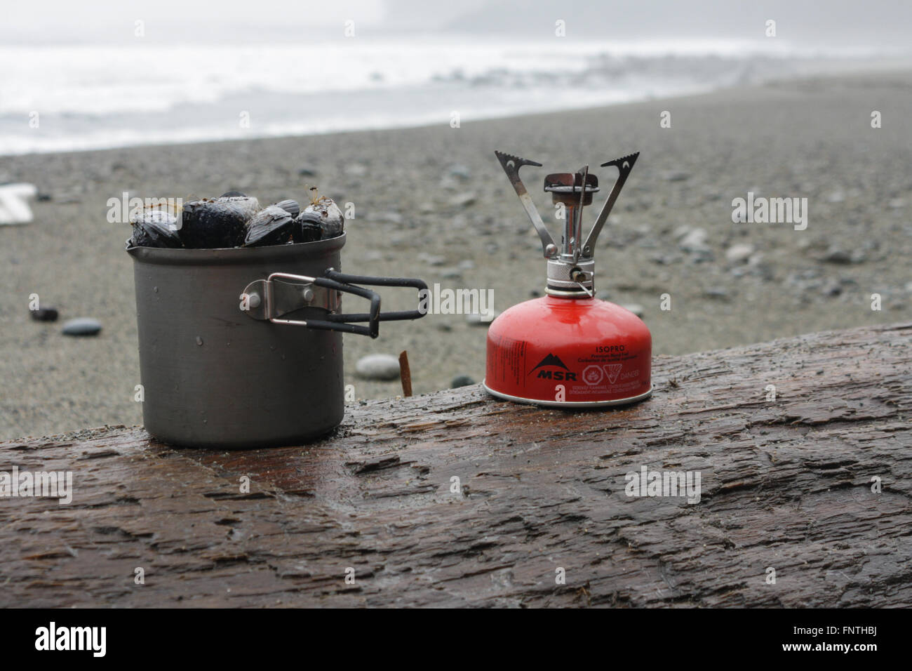 Cooking Wild Mussels on the Beach, West Coast Trail, British Columbia