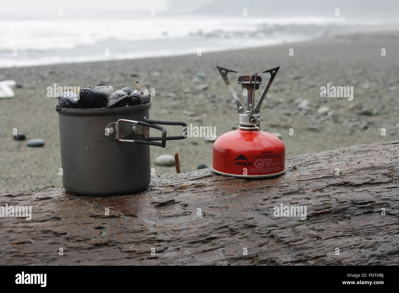 Cooking Wild Mussels on the Beach, West Coast Trail, British Columbia Stock Photo