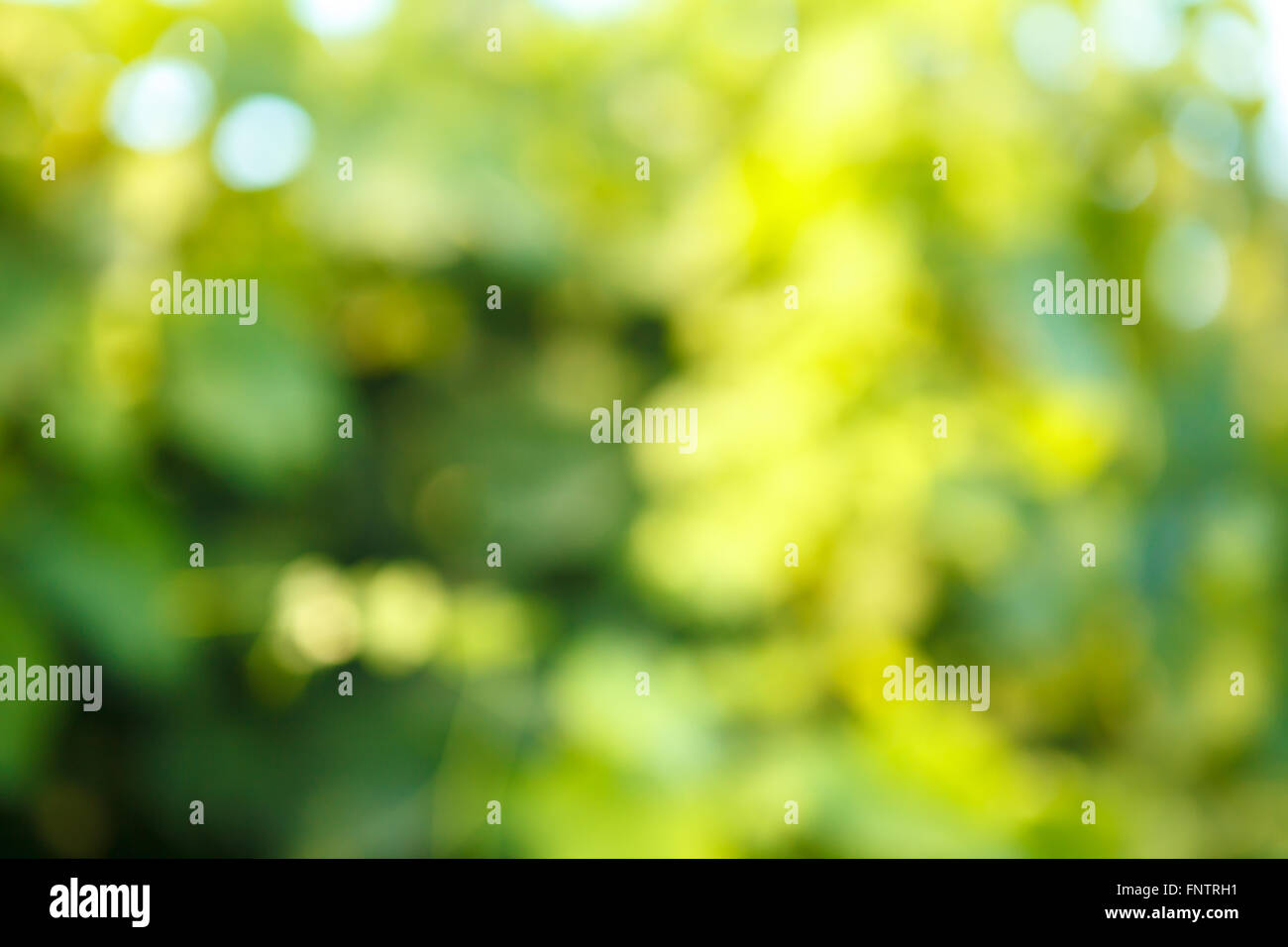 Real bokeh hi-res stock photography and images - Alamy