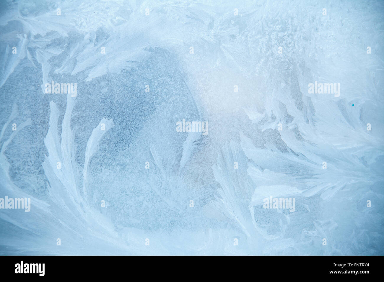 frosting, background shallow depth of field Stock Photo