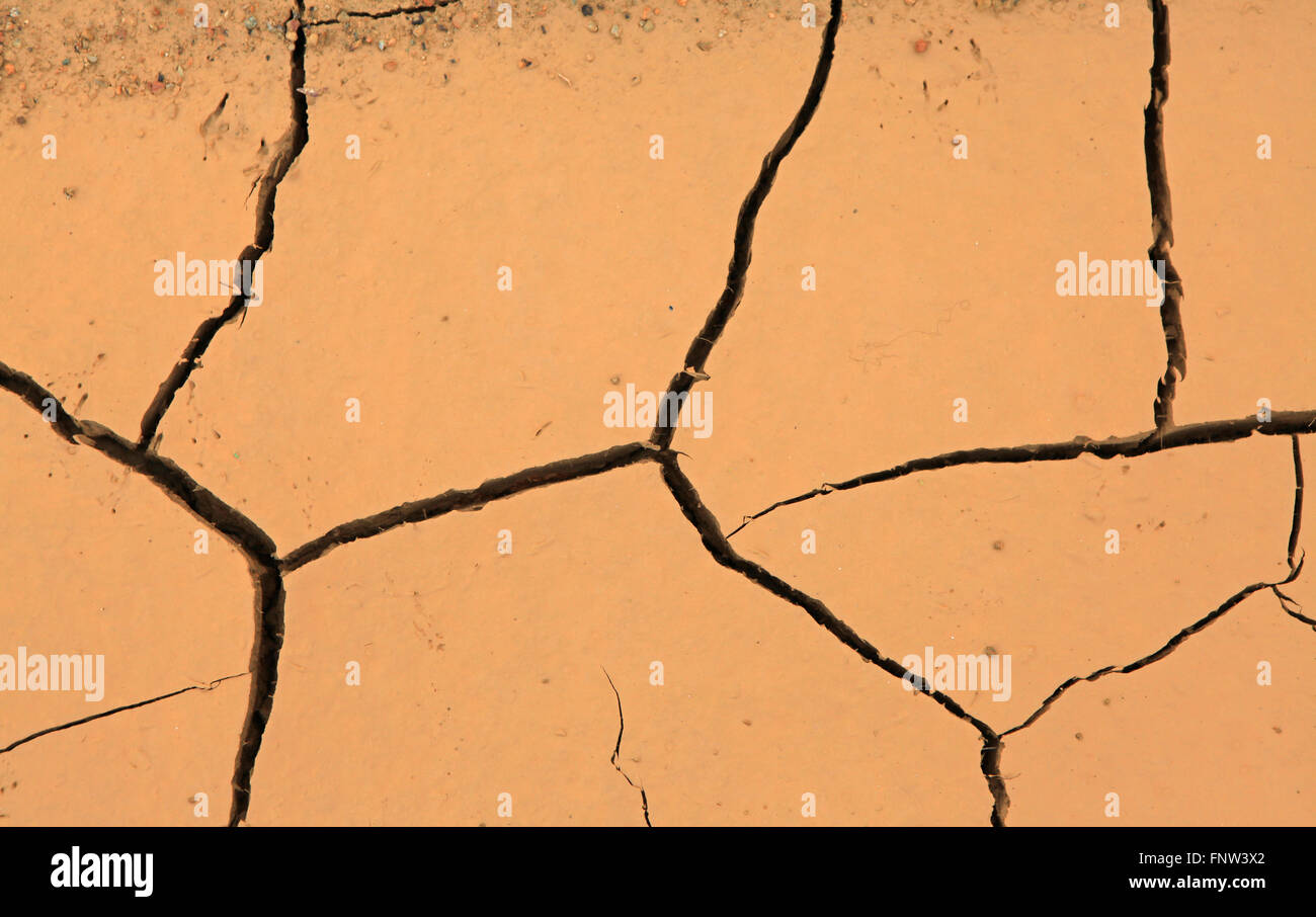 Drought, detail of ground dried and cracked mud, climate change, natural disaster and catastrophe Stock Photo