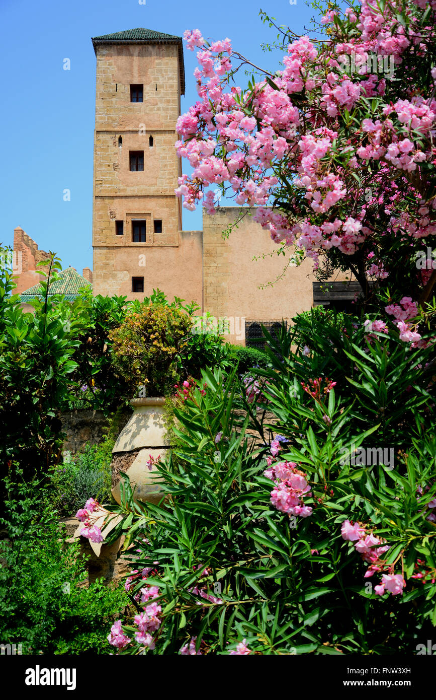 Morocco, Rabat, Kasbah Oudaya Stock Photo - Alamy