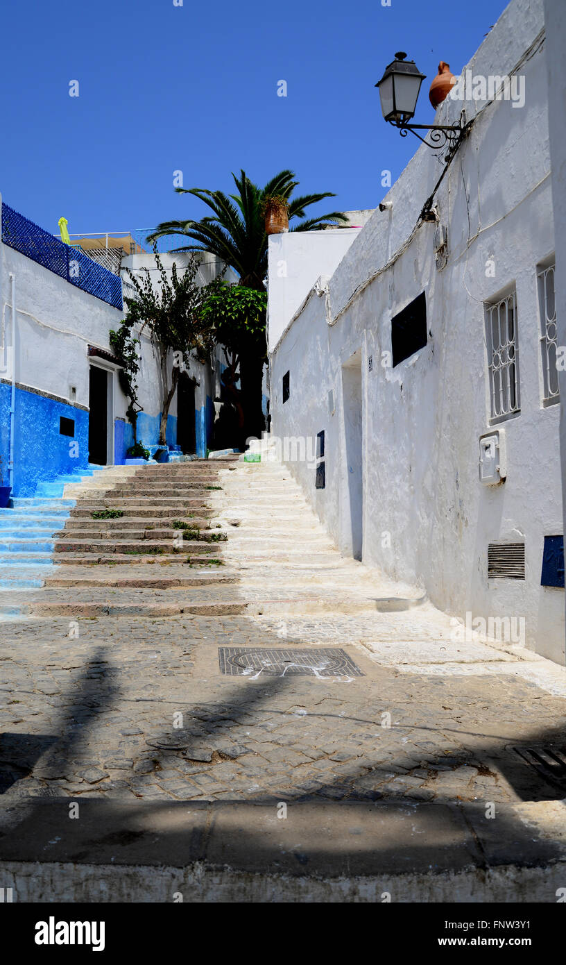 Morocco, Rabat, Kasbah Oudaya Stock Photo - Alamy