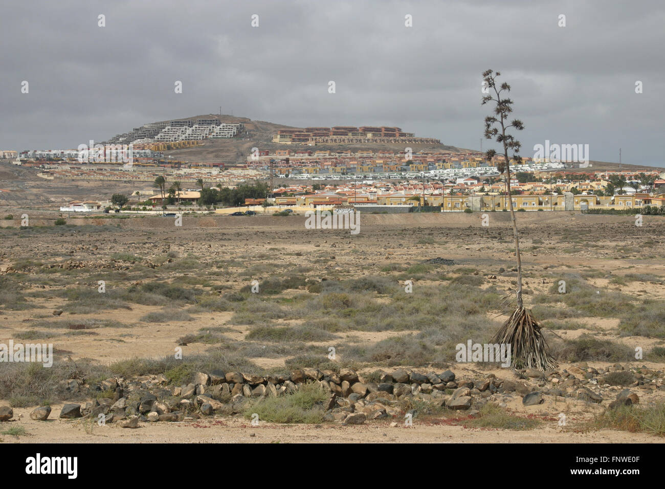 Caleta De Fuste Bay High Resolution Stock Photography and Images - Alamy
