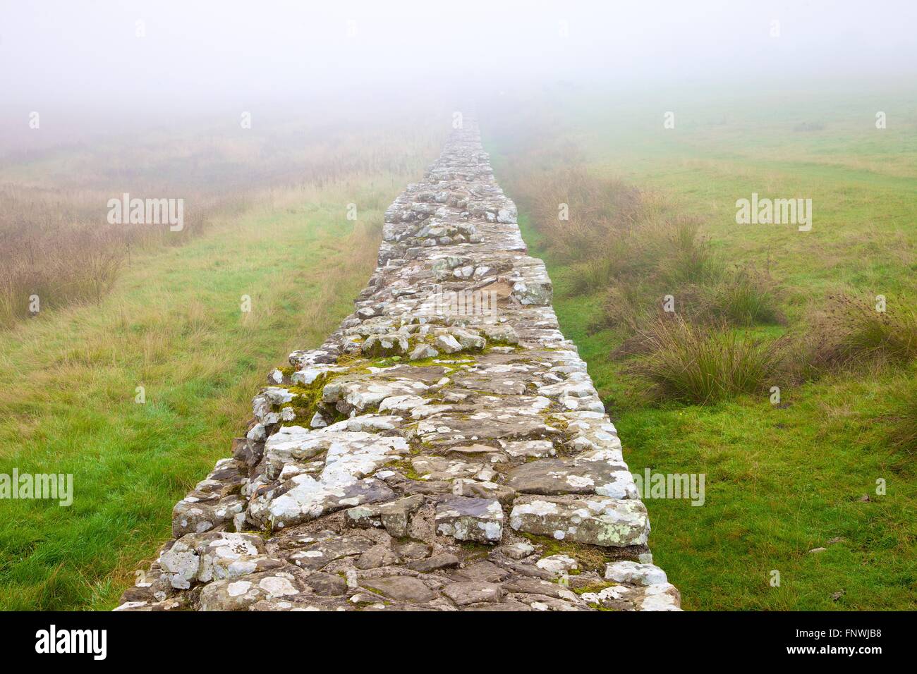 Hadrian's Wall. Fog enveloped. Birdoswald, World Heritage Site, Cumbria, England, United Kingdom. Stock Photo