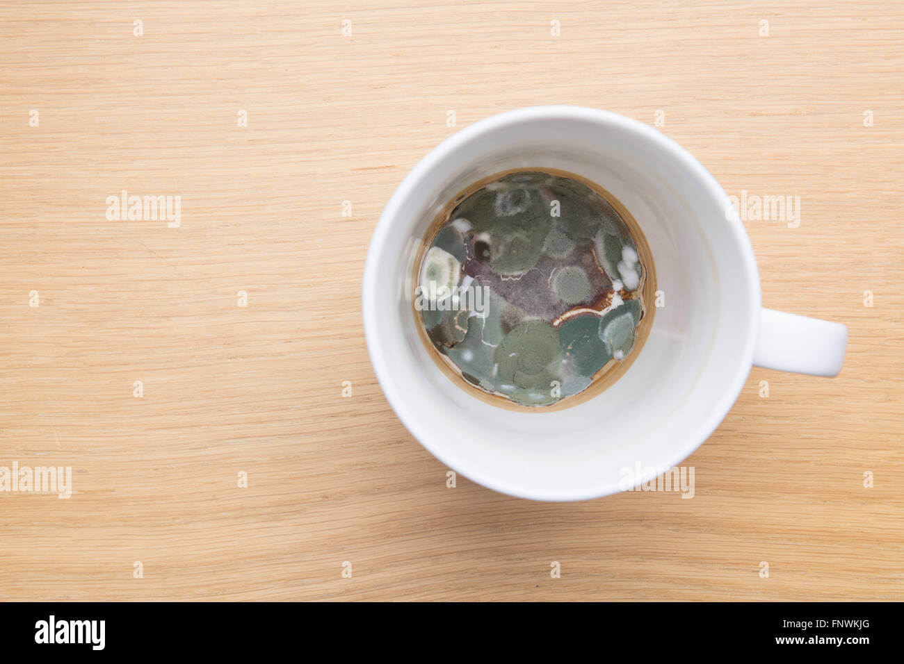 mouldy coffee tea mug Stock Photo