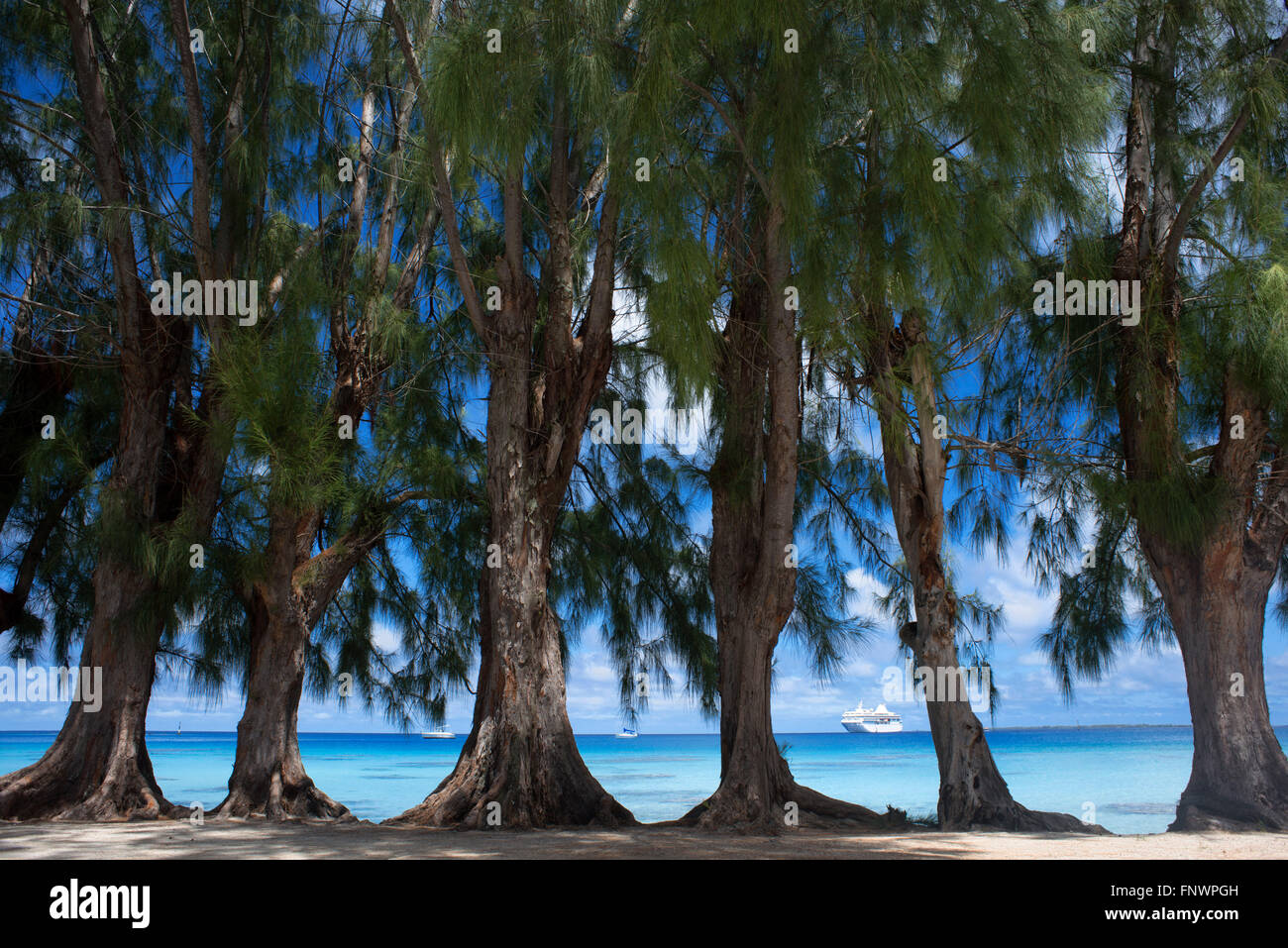 Fakarava, Tuamotus Archipelago French Polynesia, Tuamotu Islands, South Pacific. Trees next to the see. Paul Gauguin back. Stock Photo