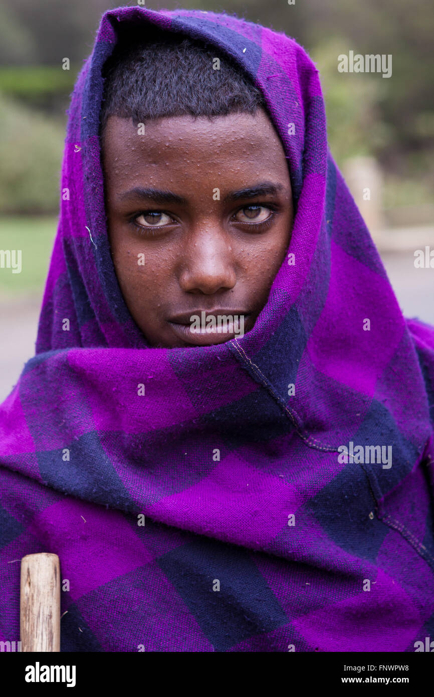 A young boy looking after his family's cattle, Ethiopia, Africa Stock Photo