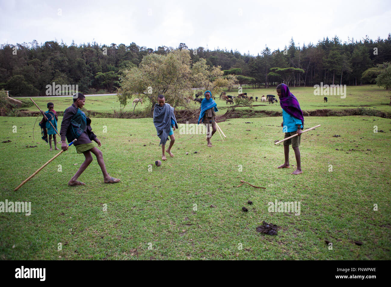 A group of young boys play a game of football as they look after their family's cattle, Ethiopia, Africa Stock Photo