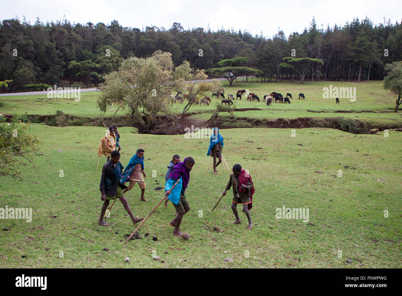 A group of young boys play a game of football as they look after their family's cattle, Ethiopia, Africa Stock Photo