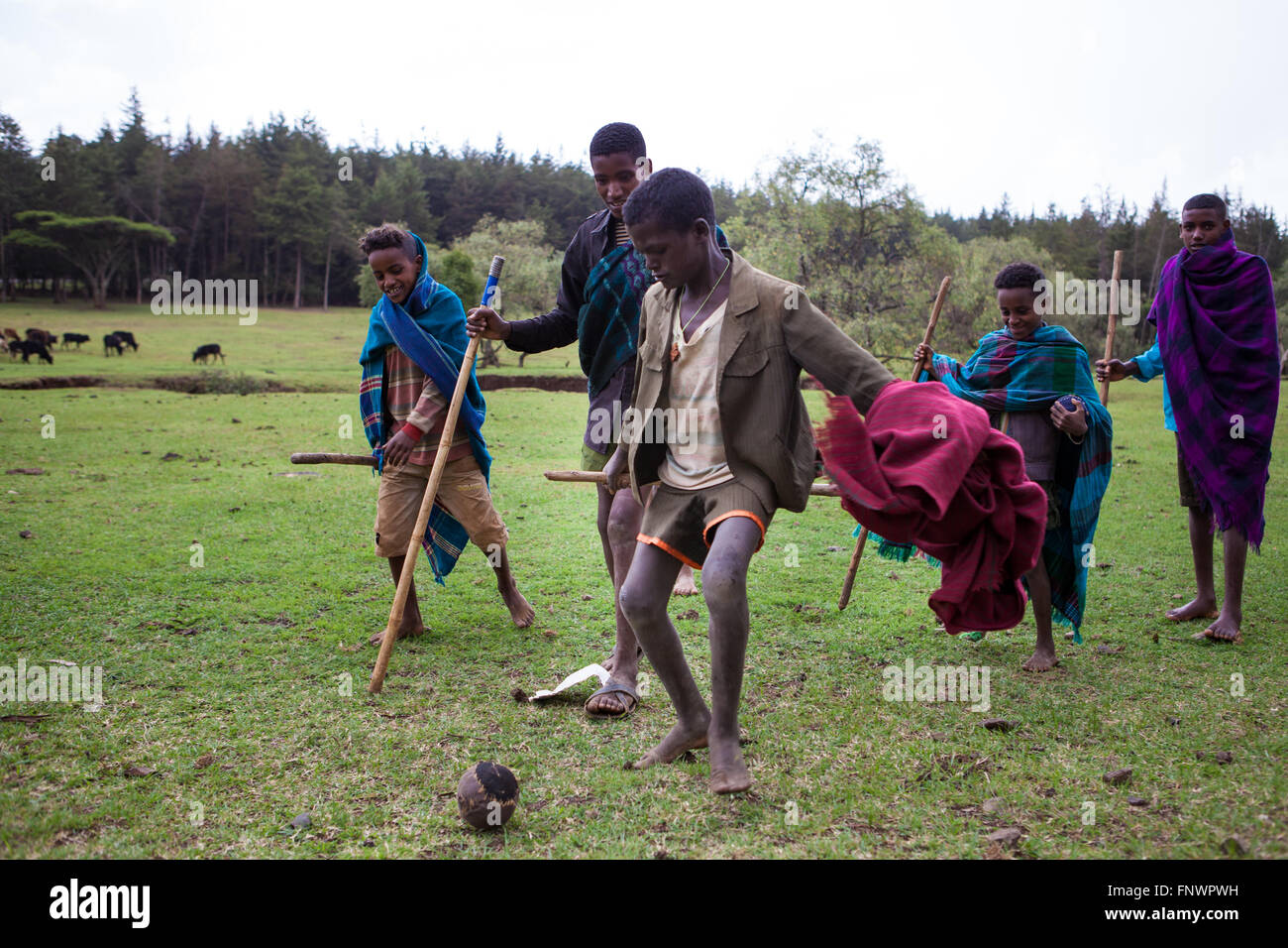 A group of young boys play a game of football as they look after their family's cattle, Ethiopia, Africa Stock Photo