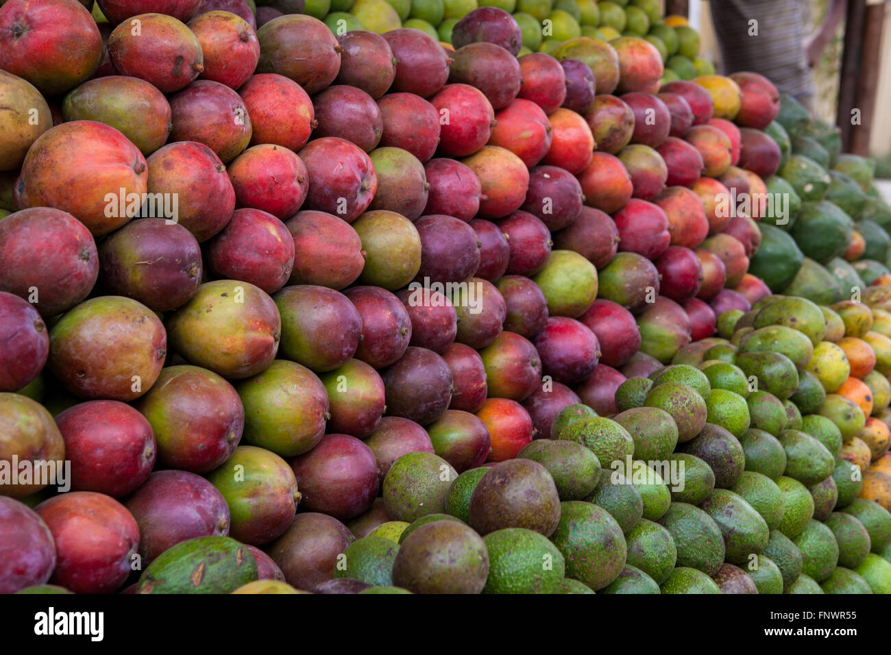 Fresh fruit and vegetables for sale by the side of the road in Addis
