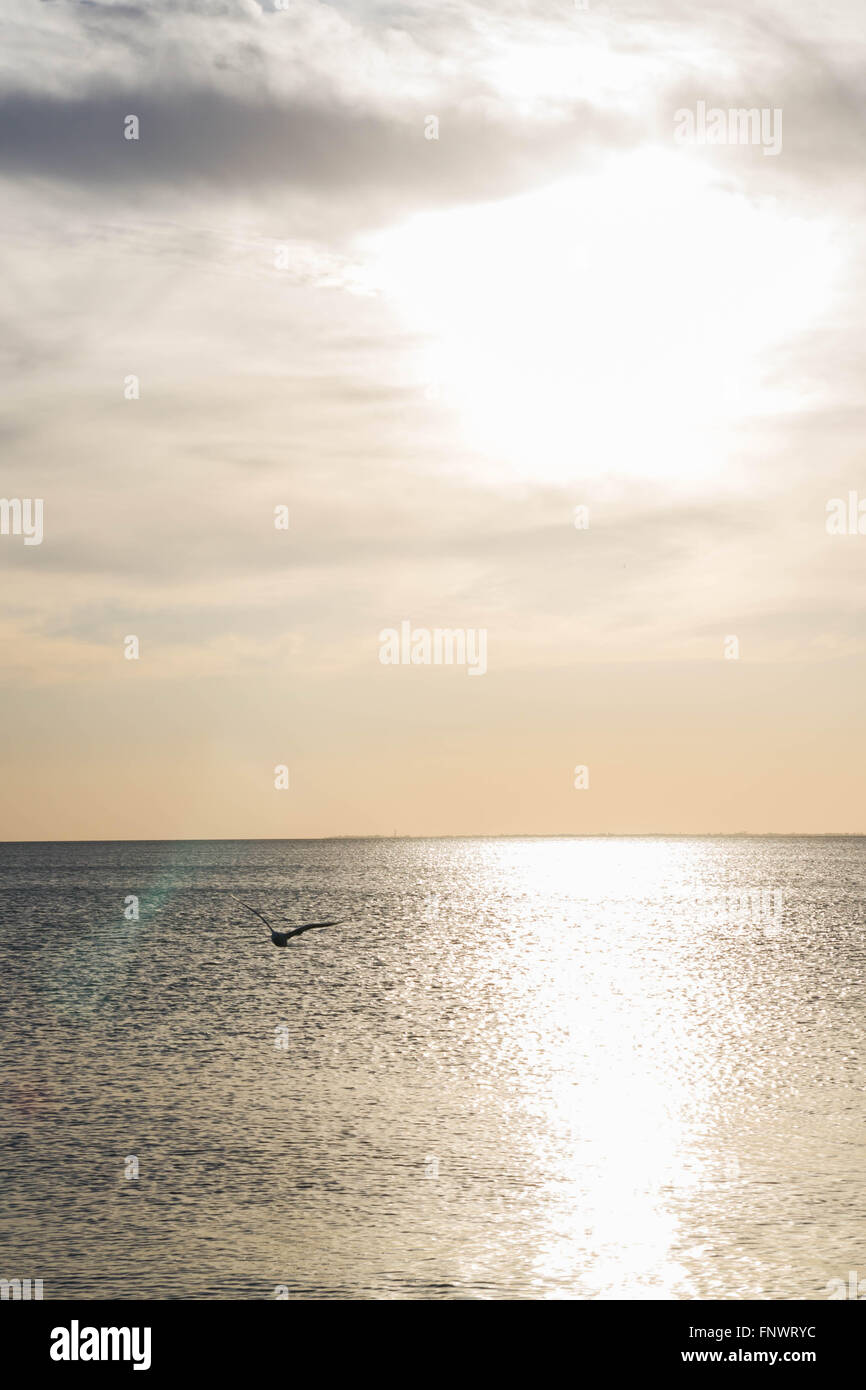 Beautiful sunset on the sea in summer Stock Photo - Alamy