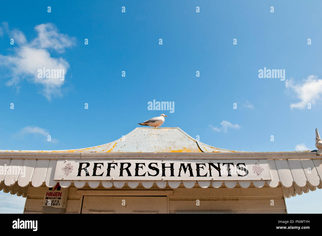 A seagull sitting on the roof of a refreshment kiosk on Eastbourne Seafront, England Stock Photo