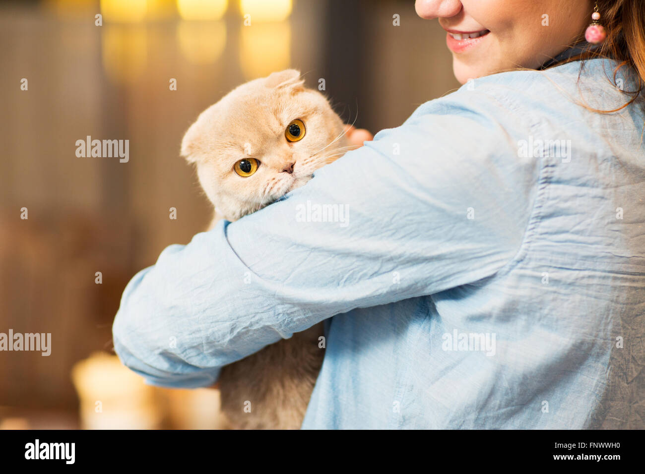 happy woman holding scottish fold cat at home Stock Photo