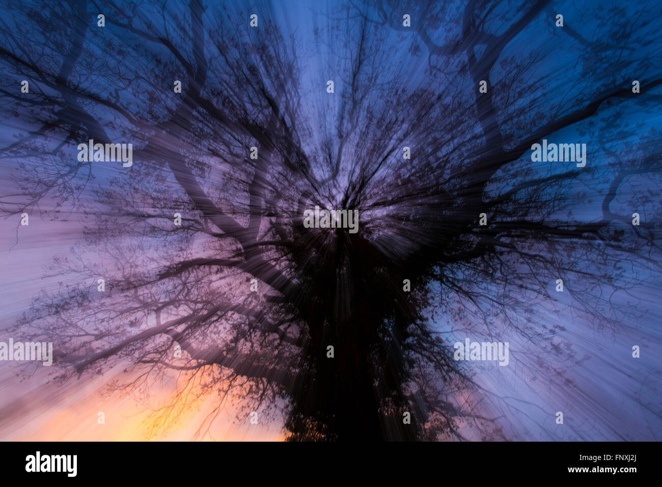 lsd trip stock photos lsd trip stock images alamy
