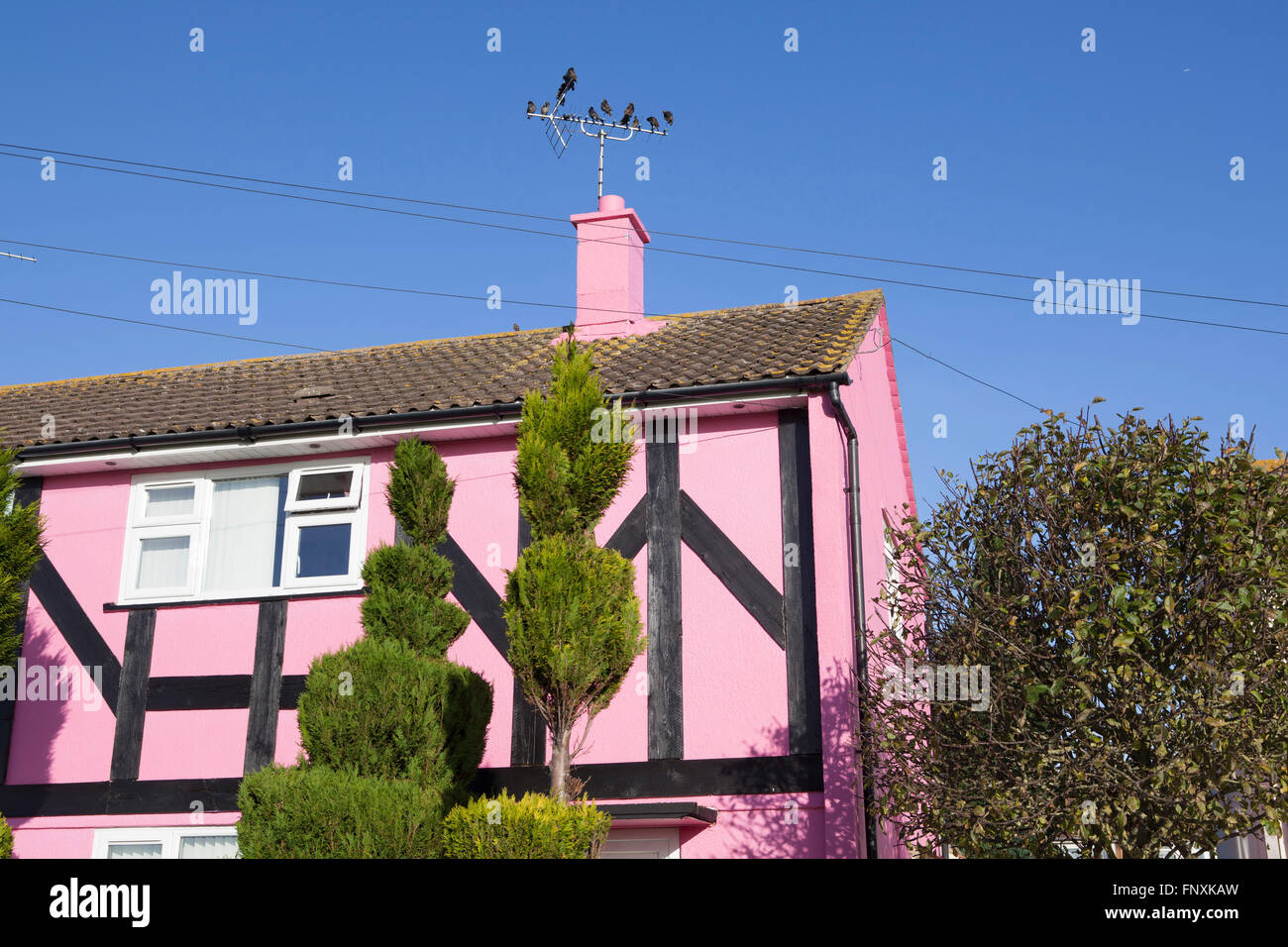 A small house painted pink and standing out from the crowd on a UK housing estate. Stock Photo