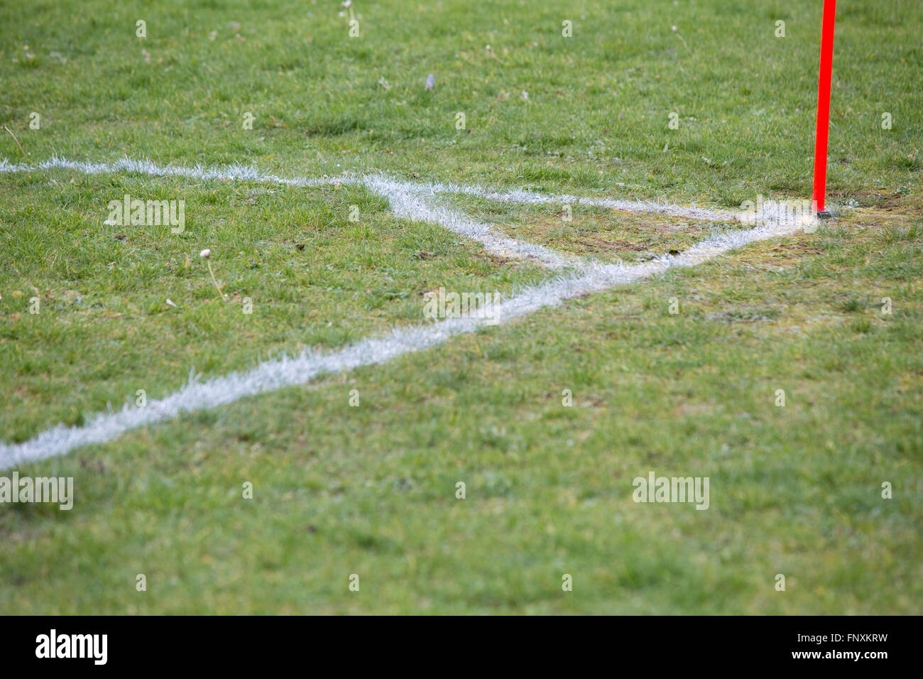A corner flag with white markings in the grass on a rugby or football