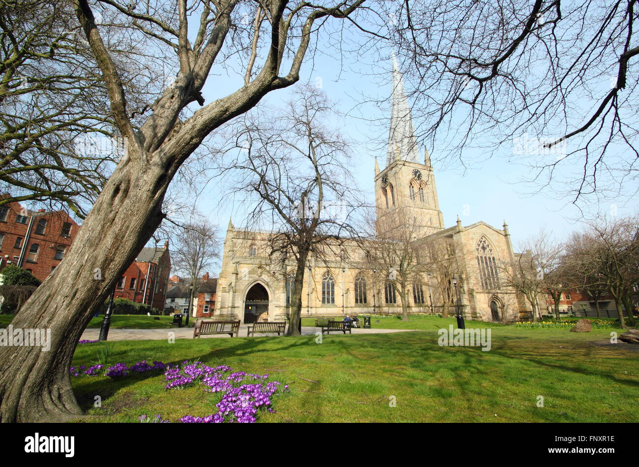 Crocuses bloom below the twisted spire of St Mary and All Saints Church ...