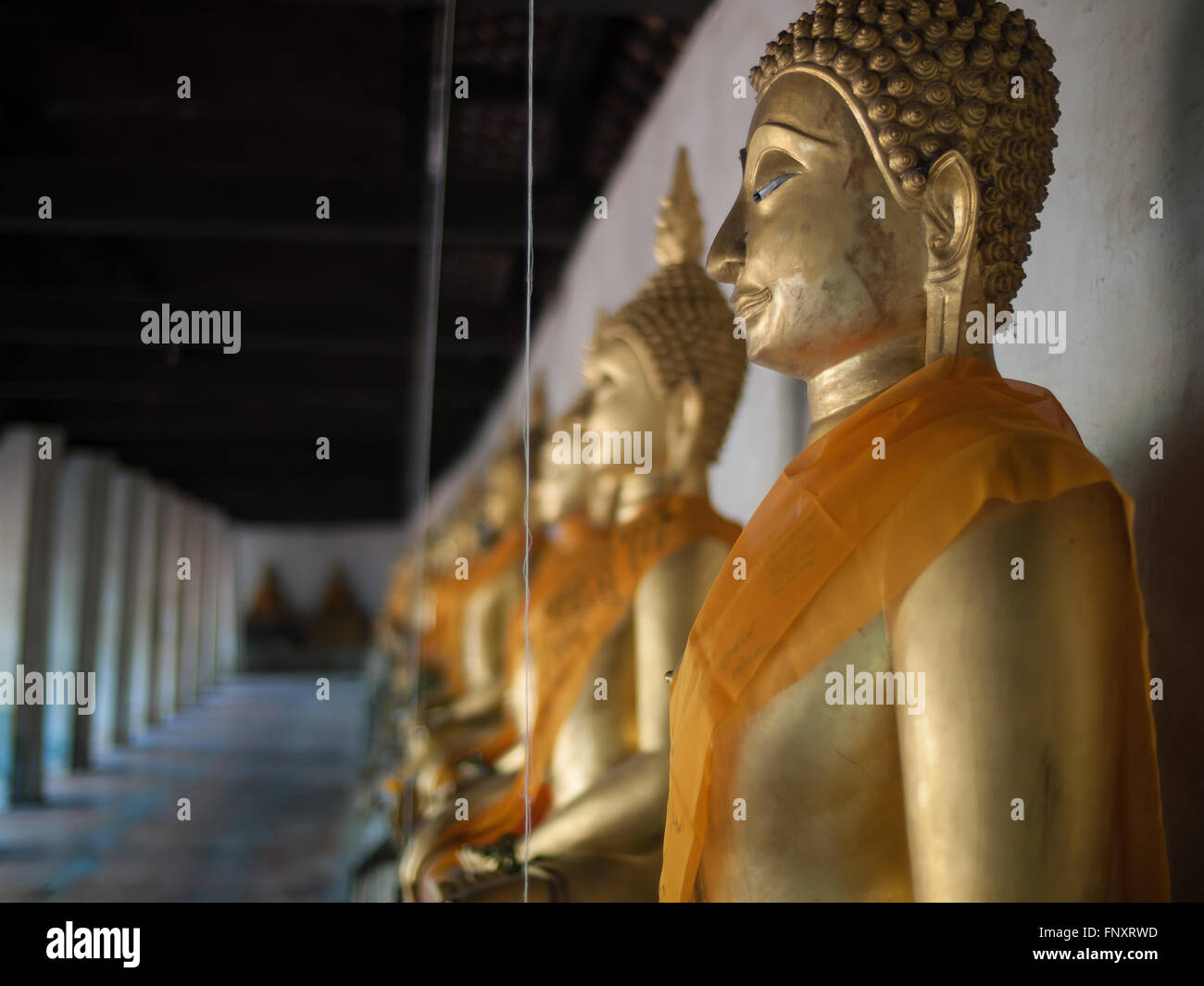 Buddha image row look from sideway. Stock Photo