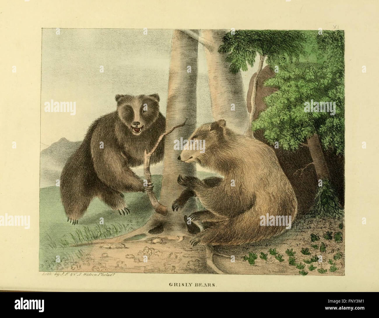 The of natural history and American rural sports (Plate XI