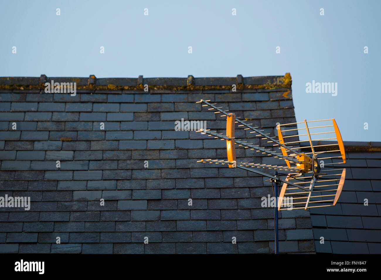 A large television aerial on a roof topo Stock Photo Alamy