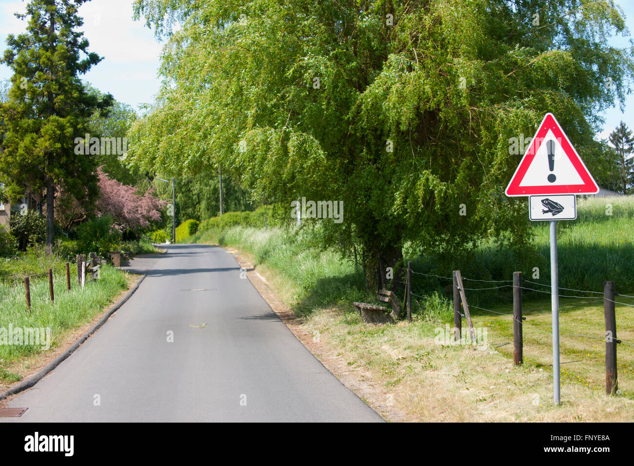 Kroeten hi-res stock photography and images - Alamy