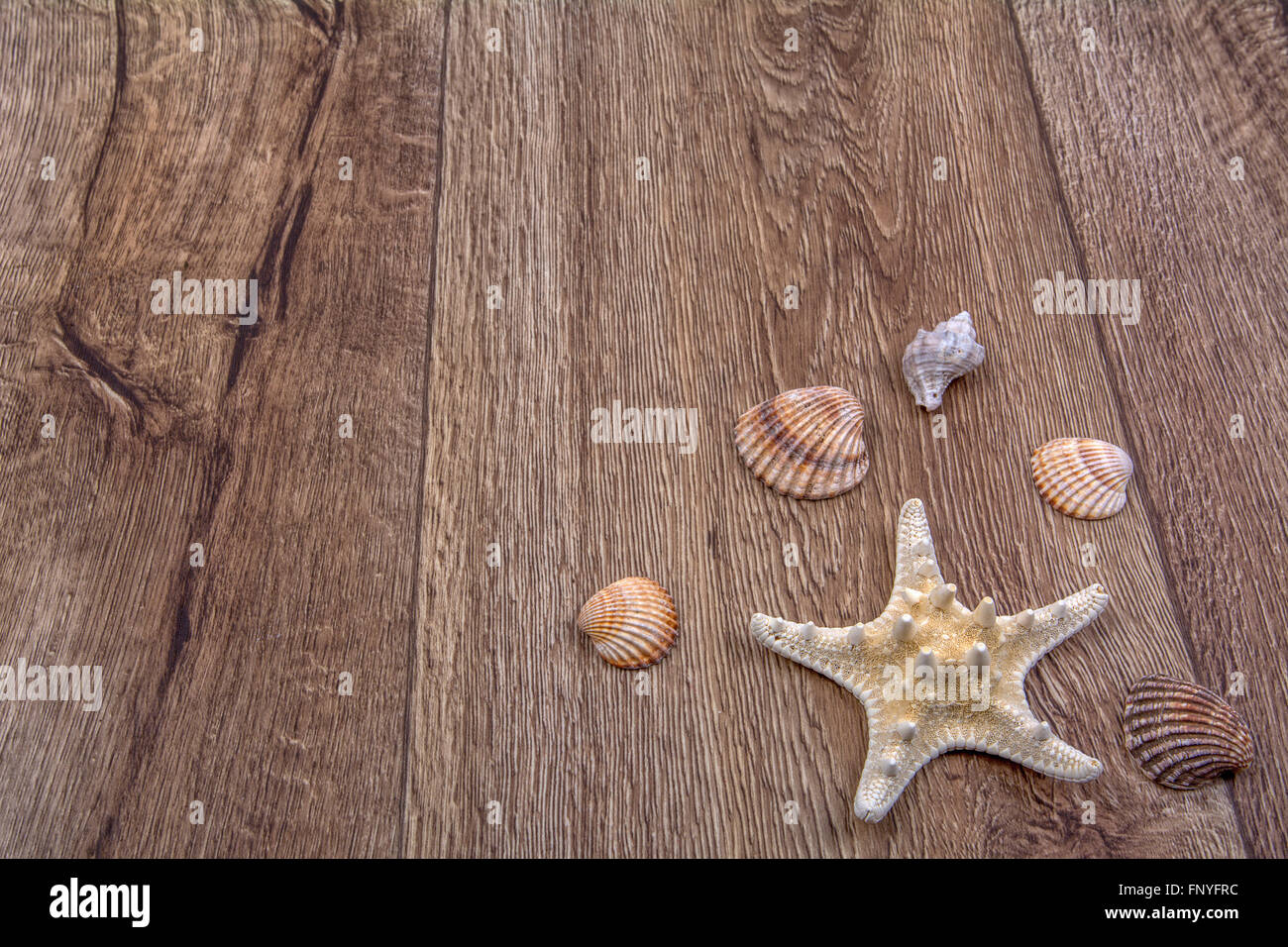White starfish and sea shells on a wooden background Stock Photo - Alamy