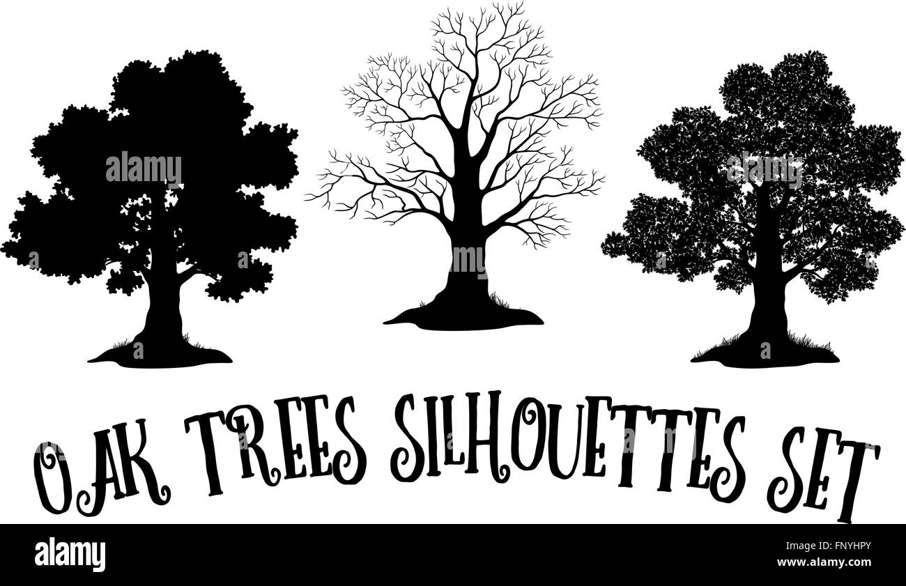Oak Trees Black Silhouettes Stock Vector Image & Art - Alamy