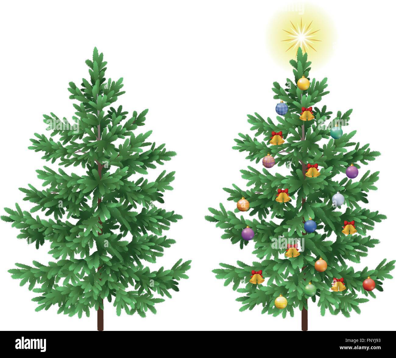 Silver fir trees Stock Vector Images Alamy