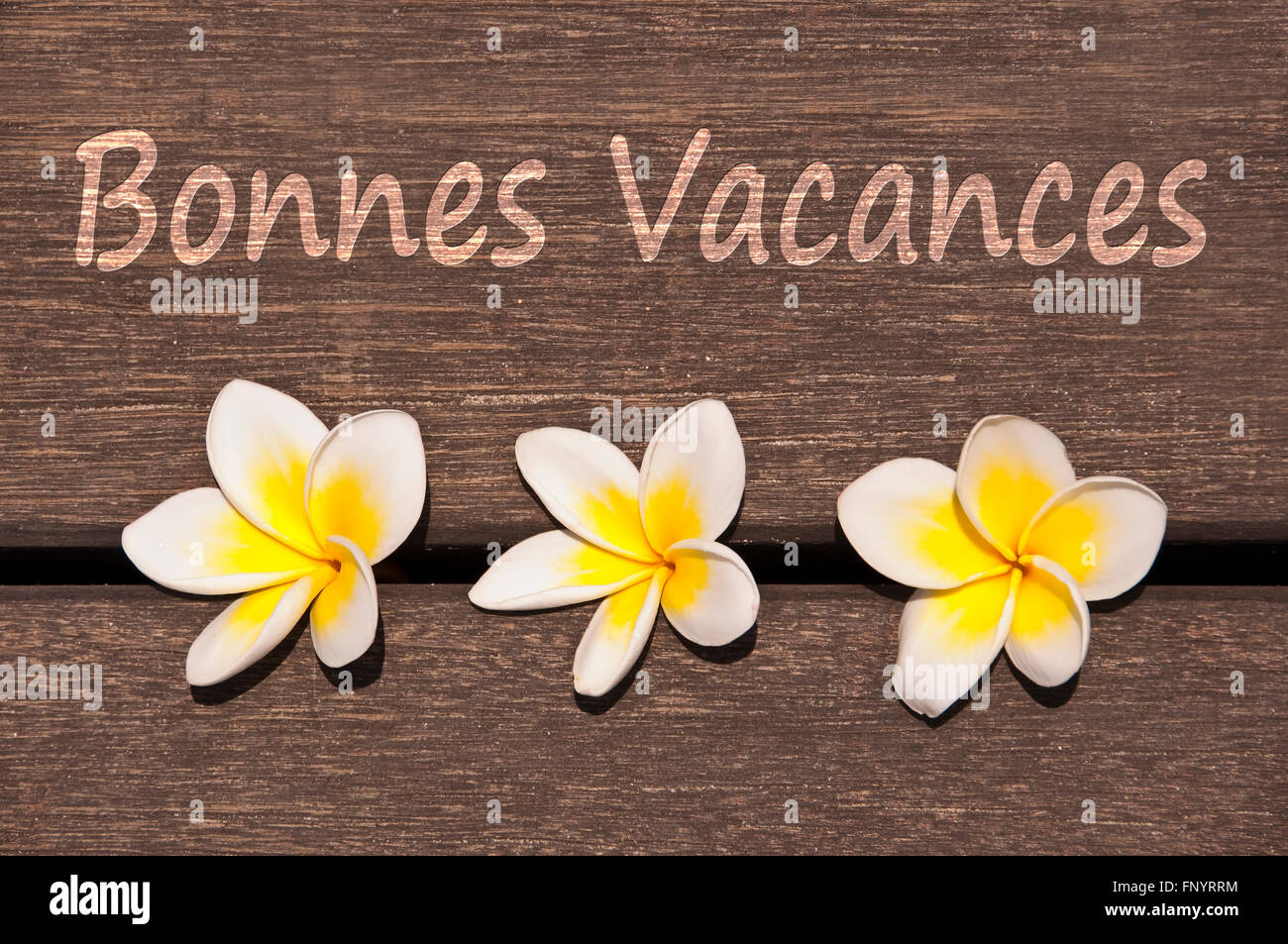 Text Bonnes vacances (meaning happy summer in French) with plumeria flower on wooden floor background Stock Photo