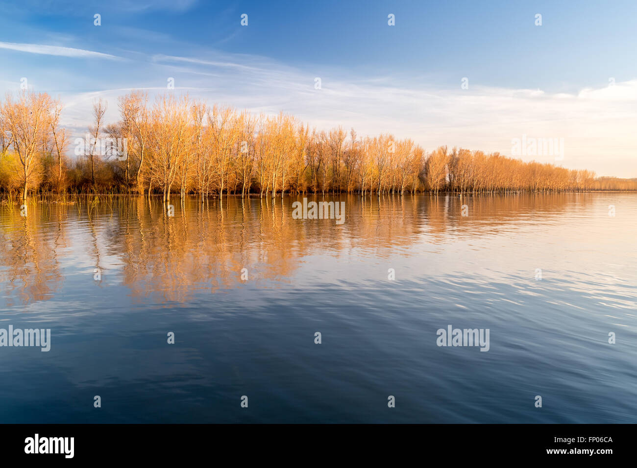 Autumn trees reflecting in the river Stock Photo - Alamy
